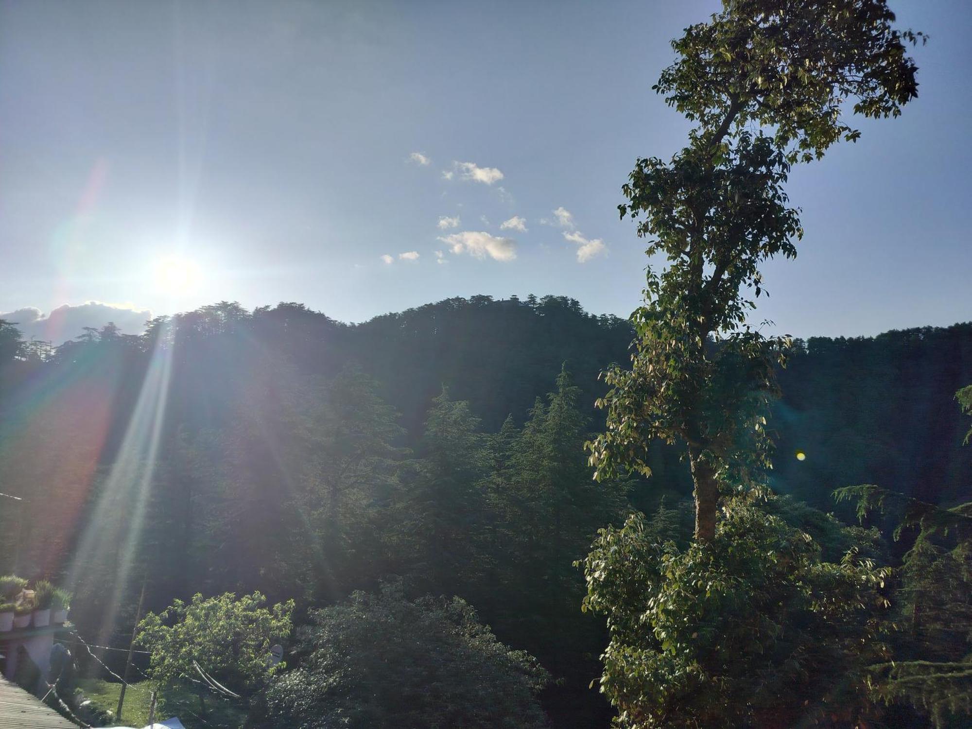Tree Valley Homestay Chail Exterior foto