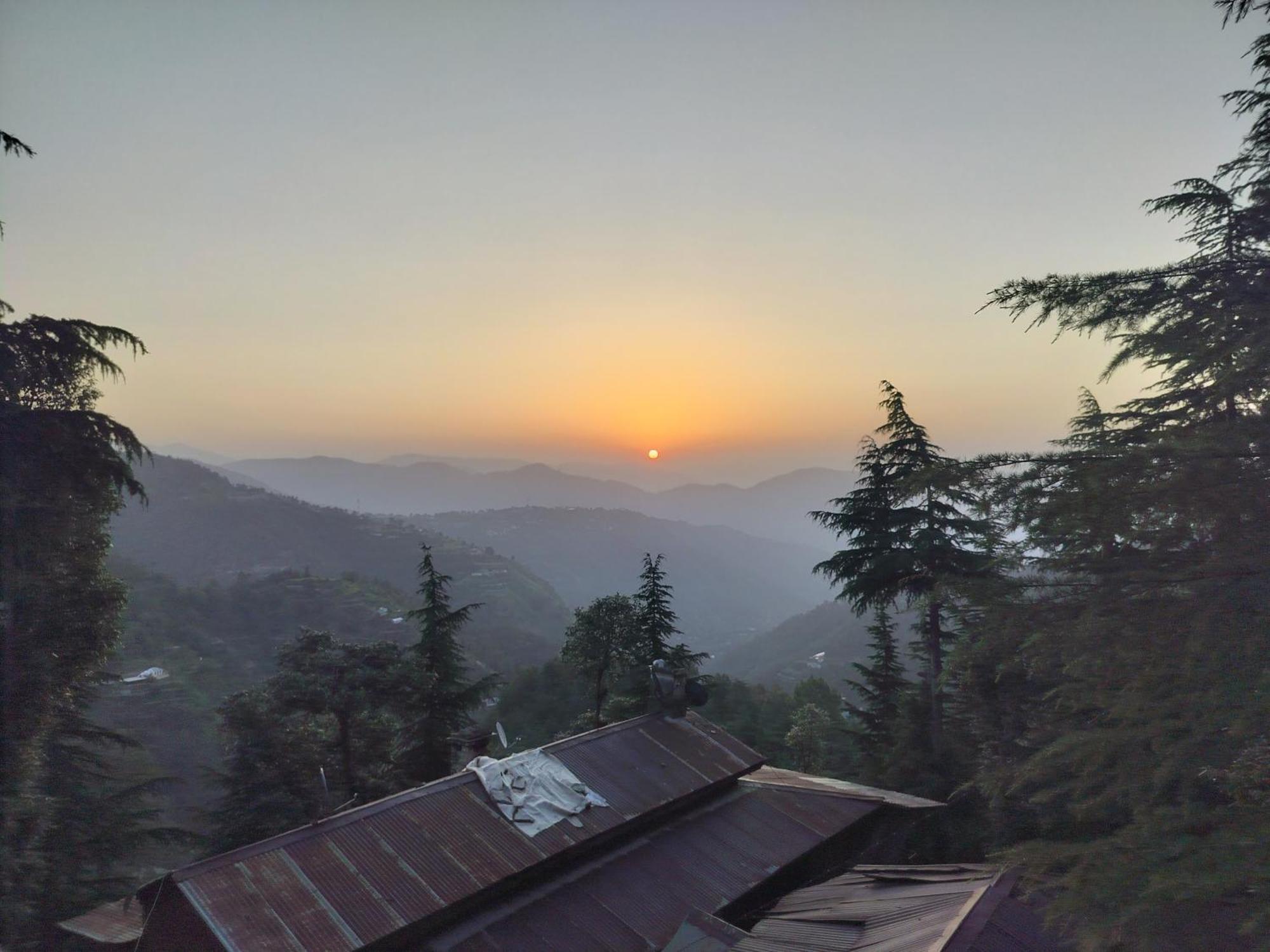 Tree Valley Homestay Chail Exterior foto
